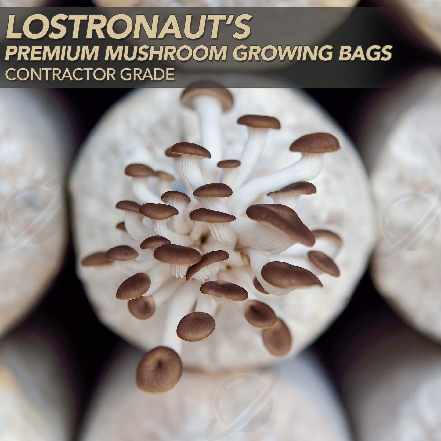 LOSTRONAUT Mushroom Grow Bags - 60 Pack Extra Strong & Large Grow Bags, Autoclave Bags with 2 Micron Fiber for Mushroom Growing, Mushroom Spawn Bag, CO2 Bag, Mushroom Growing Kit & Gardening Supplies