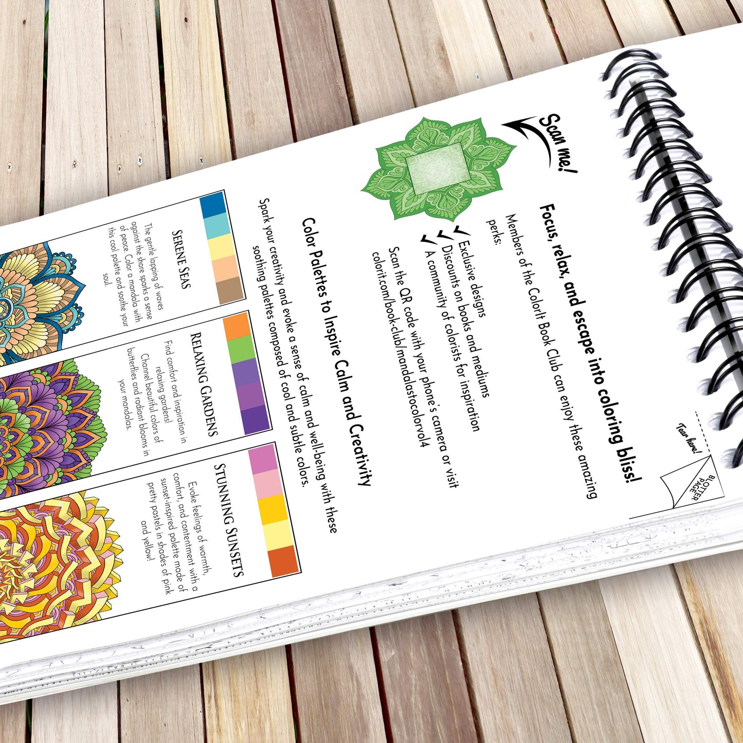 Mandalas to Color Volume IV Coloring Book for Adults Relaxation